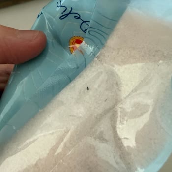 Mayi Tuz Ürünlerinde Böcek Ve Yabancı Madde Sorunu, Yetersiz Çözüm