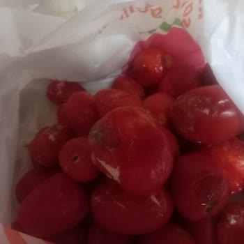 Migros Online Alışverişte Kalitesiz Domates Ve Müşteri Hizmetlerine Ulaşılamıyor