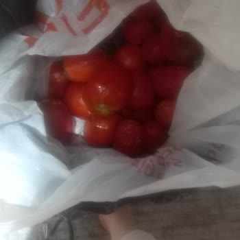 Migros Online Alışverişte Kalitesiz Domates Ve Müşteri Hizmetlerine Ulaşılamıyor