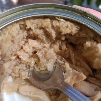 Dardanel Ton Balığı Sonrası Zehirlenme Ve Sağlık Sorunları