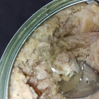 Dardanel Ton Balığı Sonrası Zehirlenme Ve Sağlık Sorunları