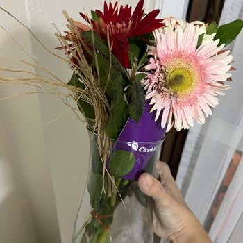 İade Talebim Reddedildi, İndirim Kodu Teklif Edildi