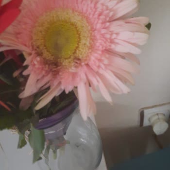 İade Talebim Reddedildi, İndirim Kodu Teklif Edildi