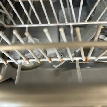Franke Dishwasher Baskets Got Rusty And Broken Wires Create Health Risk
