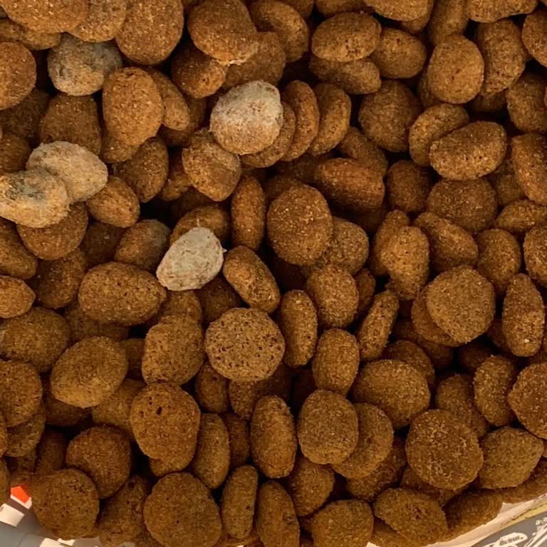 Küflü Köpek Maması Ve Yetersiz Müşteri Hizmeti