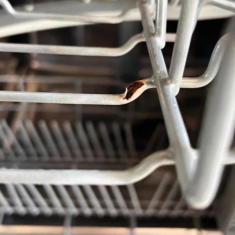 İki Yıl Dolmadan Bulaşık Makinesi Raflarında Küflenme Sorunu