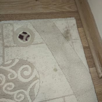 Yetersiz Temizlik Ve İlgisiz Müşteri Hizmetleri Nedeniyle Ücret İadesi Talebim Var