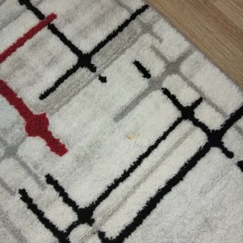 Yetersiz Temizlik Ve İlgisiz Müşteri Hizmetleri Nedeniyle Ücret İadesi Talebim Var