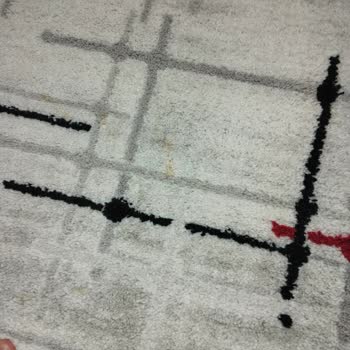 Yetersiz Temizlik Ve İlgisiz Müşteri Hizmetleri Nedeniyle Ücret İadesi Talebim Var