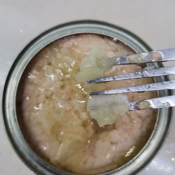 Dardanel Zeytinyağlı Ton Balığında Bozulma Ve Çözülmeyen Mağduriyet