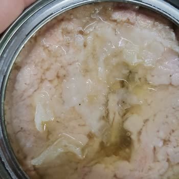 Dardanel Zeytinyağlı Ton Balığında Bozulma Ve Çözülmeyen Mağduriyet