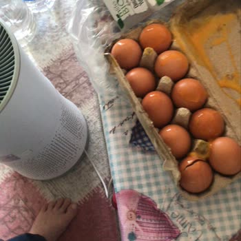 Migros Sanal Marketten Kırık Yumurta Teslimatı Ve Çözüm Sunulmaması