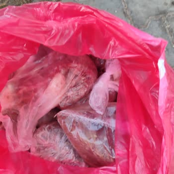 Arçelik 2162 Model Derin Dondurucu Kurtlandı