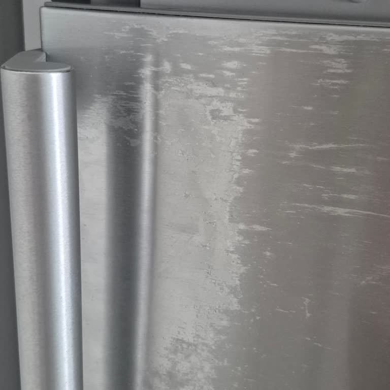 Siemens Buzdolabında Boya Atması Ve Servis İlgisizliği