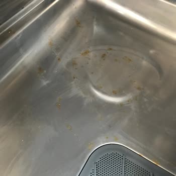 Yeni Alınan Samsung Bulaşık Makinesinde Paslanma Ve Servis İlgisizliği Mağduriyeti