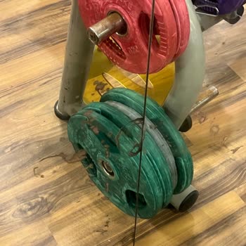 Bodrum'da Yüksek Ücretle Karşılaşılan Ciddi Hijyen Sorunları