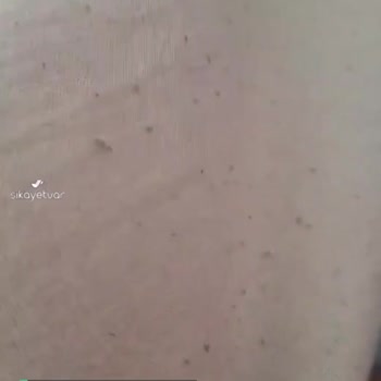 Karaca Home Çarşaf Takımı Tüylenme Yaptı!
