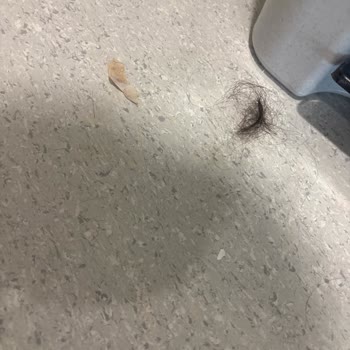 Hastane Odasında Yetersiz Temizlik Ve İlgisiz Personel