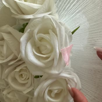 Özel Günümde Hayal Kırıklığı Yaşadım