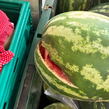 Migros Symbol AVM'de Meyve-Sebze Reyonunda Kötü Koku Ve Hijyen Sorunu