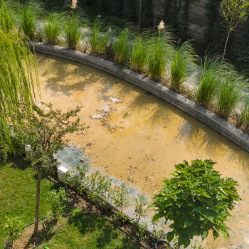 Site Yönetimi ve Hizmet Kalitesi Hakkında Şikayet