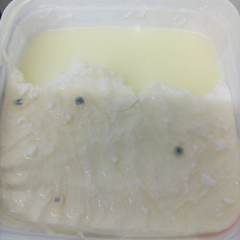 Aldığım Yoğurt Küflendi, Mağaza İade Ve Özür Taleplerimi Reddetti