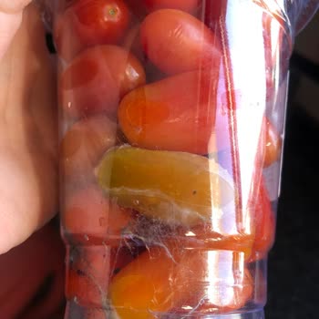 Migros Sanal Market’ten Tekrarlayan Bozuk Ürün Teslimatı Ve Çözüm Eksikliği