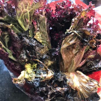 Migros Sanal Market’ten Tekrarlayan Bozuk Ürün Teslimatı Ve Çözüm Eksikliği