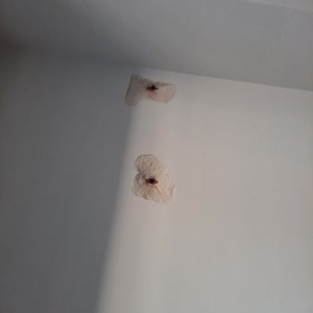 Daikin Kaira Klima Kurulumunda Hatalar Ve İlgisiz Hizmet