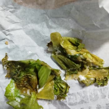 Burger King Sağlık Sorunuma Rağmen Siparişimde Marul Konulması Büyük Hayal Kırıklığı