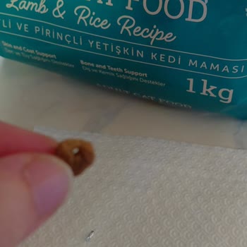 Kedi Mamasında Metal Parça Şoku!