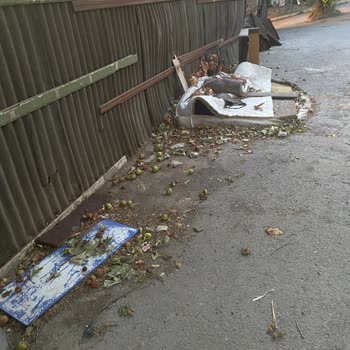 Gümüşpınar Mahallesi'nde Temizlik Ve Güvenlik Sorunlarına Çözüm Bekliyorum