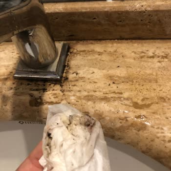 Hijyen Sorunları, Yetersiz Hizmet Ve Beklentileri Karşılamayan Konaklama Deneyimi