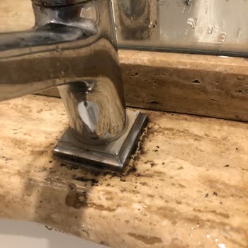 Hijyen Sorunları, Yetersiz Hizmet Ve Beklentileri Karşılamayan Konaklama Deneyimi