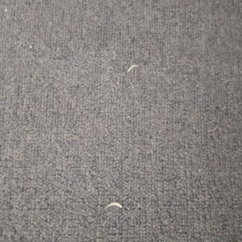 Rezervasyon İptali Ve Temizlik Sorunlarıyla Karşılaştık