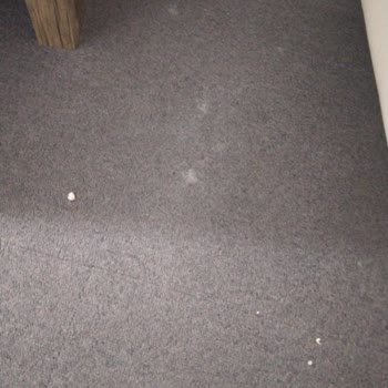 Rezervasyon İptali Ve Temizlik Sorunlarıyla Karşılaştık