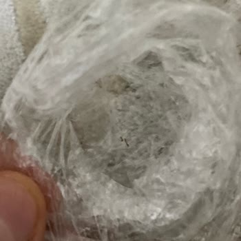 Yüz Temizleme Jelinde Canlı Böcek Şoku!