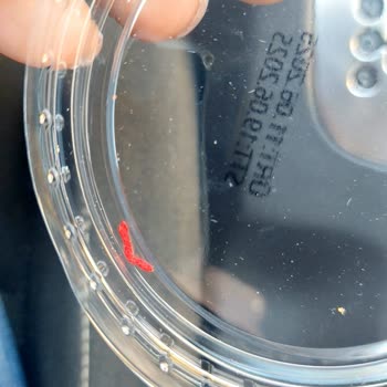 Aldığım Yoğurttan Kumaş Parçası Çıktı, Shell'den Geri Dönüş Bekliyorum