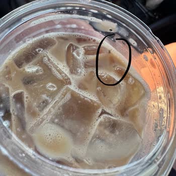 Starbucks İçeceğinde Sinek Çıkması Ve Geri Dönüş Sağlanmaması