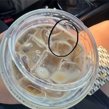 Starbucks İçeceğinde Sinek Çıkması Ve Geri Dönüş Sağlanmaması