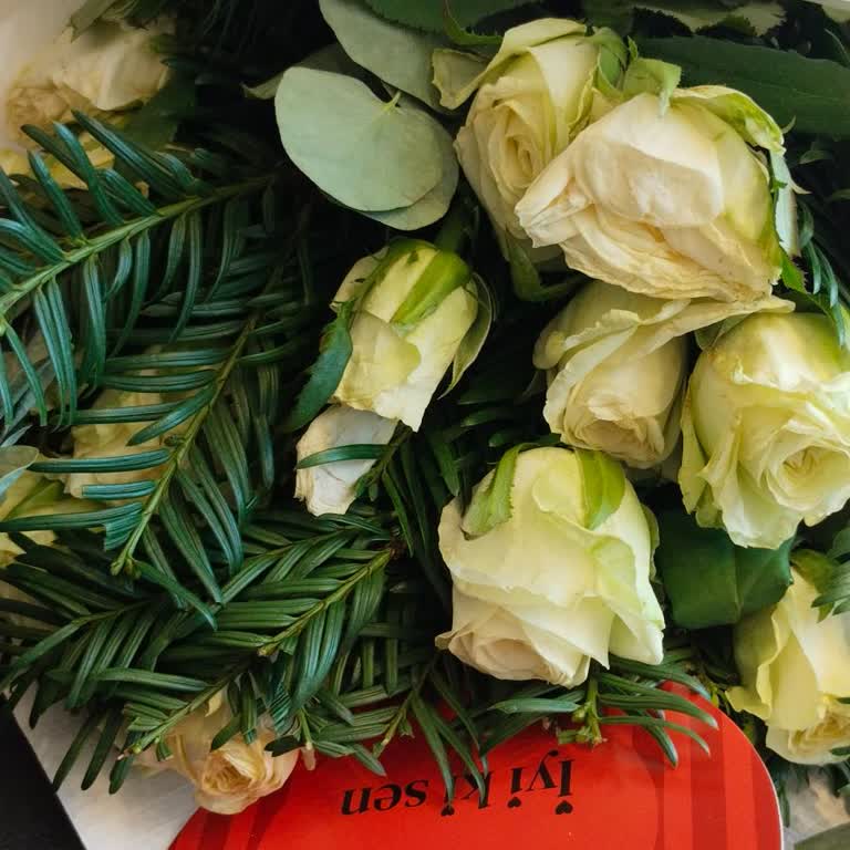 Solmuş Çiçek Teslimatı Ve İade Sorunu: 1200 TL’lik Siparişimde Mağduriyet