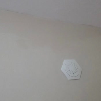 Polisan Elegans Boyada Beklenmedik Kırmızı Lekeler Ve Renk Sorunu