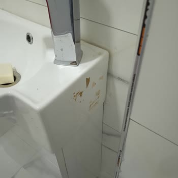 Temizlik Hizmeti Eksik Ve İlgisiz Firma Mağduriyeti