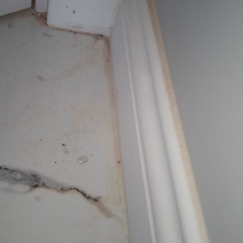 Temizlik Hizmeti Eksik Ve İlgisiz Firma Mağduriyeti