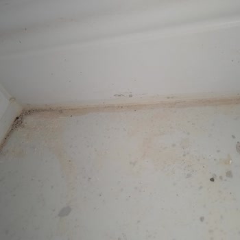 Temizlik Hizmeti Eksik Ve İlgisiz Firma Mağduriyeti