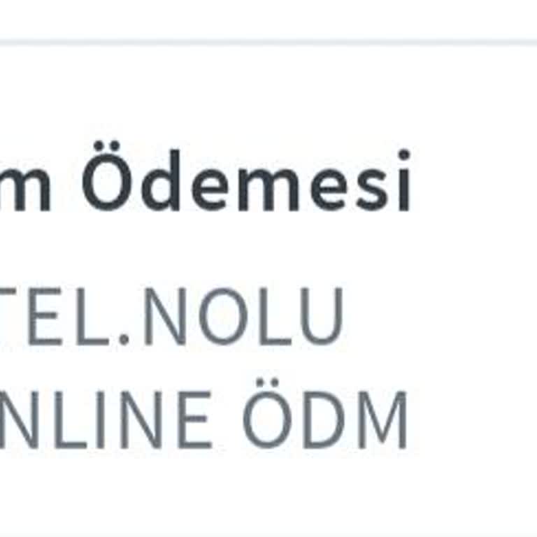 Çifte Fatura Ödemesi: Fazla Tutarın İadesini İstiyorum