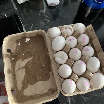 Migros Sanal Marketten Kırık Ve Akmış Yumurta Teslimatı, İlgisiz Müşteri Hizmeti