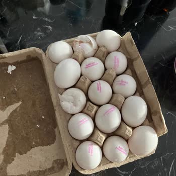 Migros Sanal Marketten Kırık Ve Akmış Yumurta Teslimatı, İlgisiz Müşteri Hizmeti