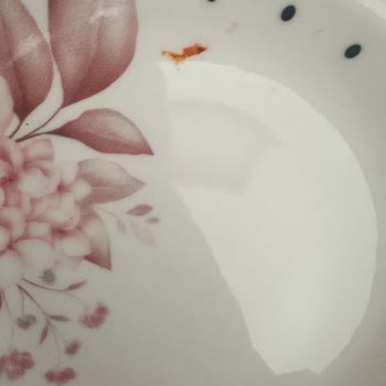 Samsung Bulaşık Makinesi Kirli Yıkıyor, Çözüm Sunulmuyor Mağduriyet Büyüyor