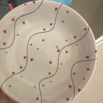 Samsung Bulaşık Makinesi Kirli Yıkıyor, Çözüm Sunulmuyor Mağduriyet Büyüyor